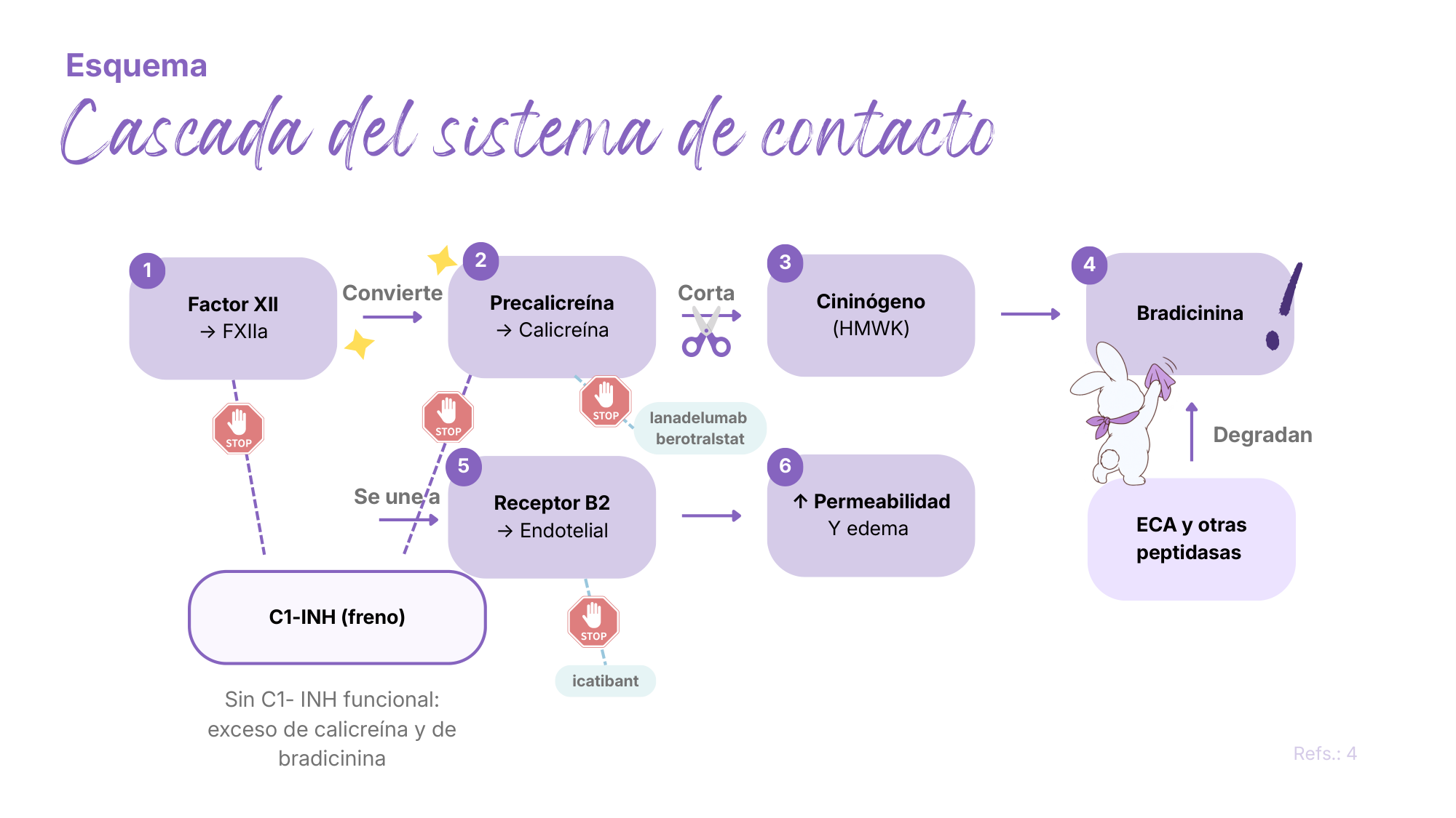 Imagenes/05_Angioedema_p021.png