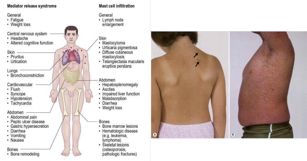 figura-p05-02.png