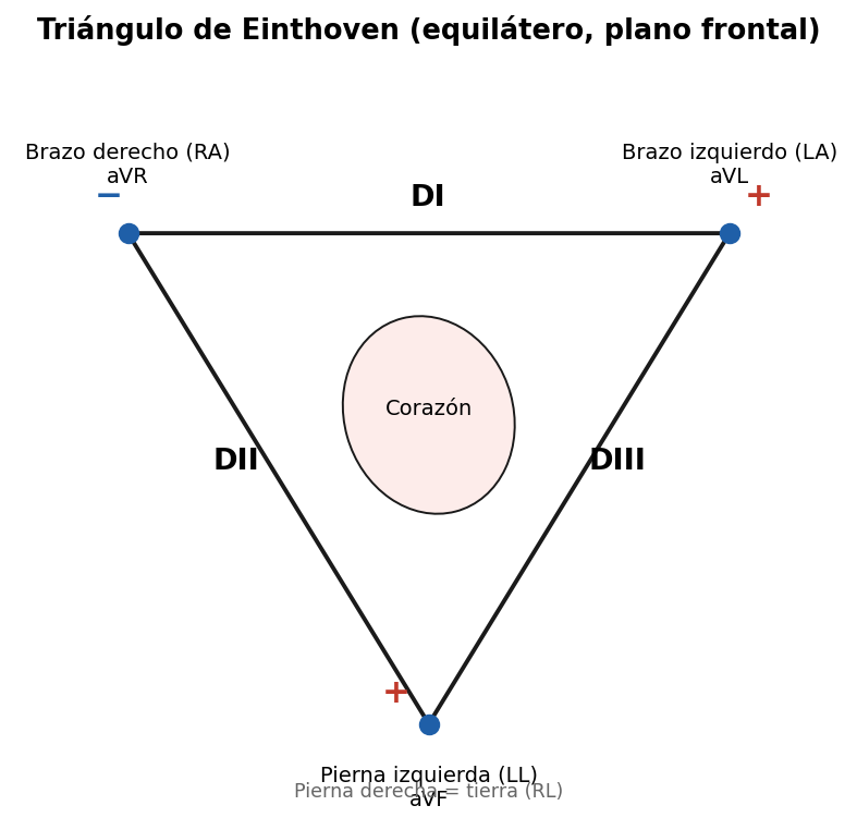 attachments/Slide_EKG_generalidades_17-19_triangulo_Einthoven.png
