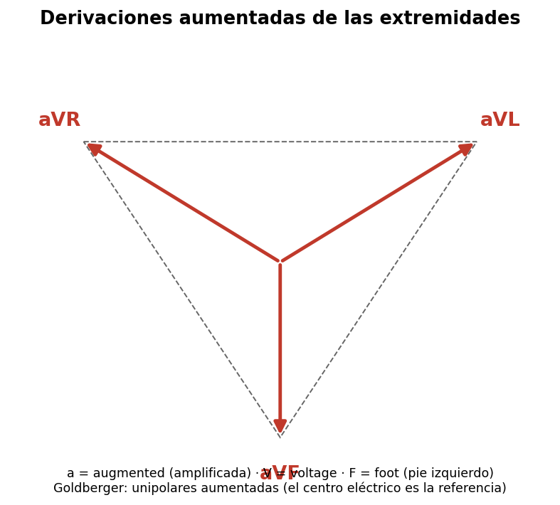 attachments/Slide_EKG_generalidades_20-22_derivaciones_aumentadas.png