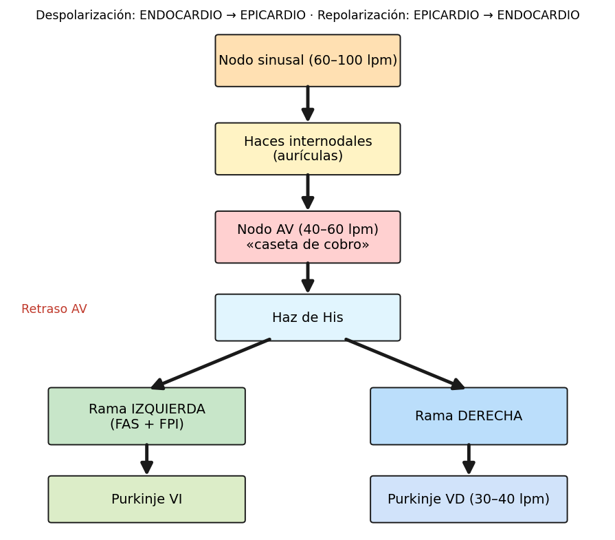 attachments/Slide_METODO_26-28_sistema_NodoAV_His_Purkinje.png
