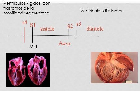 Cardio_image104.jpeg452