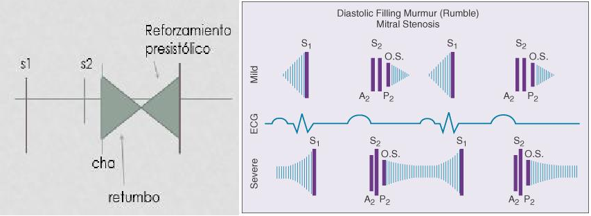 Cardio_image116.png451