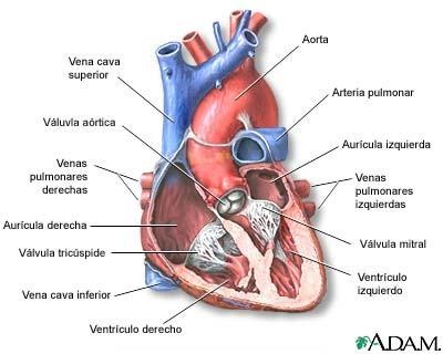 Cardio_image96.jpeg349