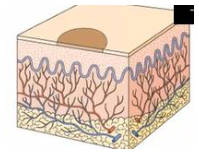 Adjuntos/U02_p11_fig01.png