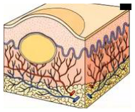 Adjuntos/U02_p12_fig05.png