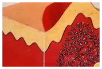 Adjuntos/U02_p13_fig02.png