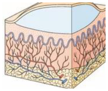 Adjuntos/U02_p13_fig05.png