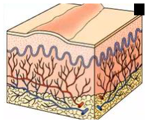 Adjuntos/U02_p16_fig02.png