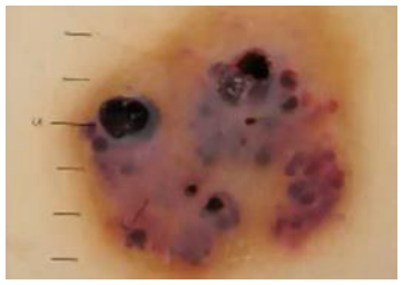 Adjuntos/U02_p17_fig02.png