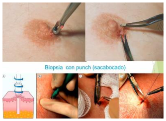 Adjuntos/U02_p18_fig05.png