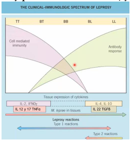 Adjuntos/U03_p35_fig01.png