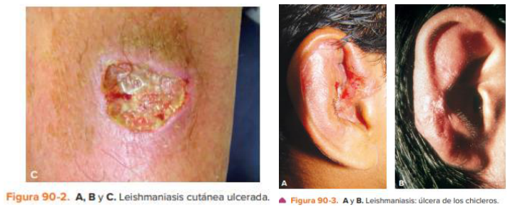 Adjuntos/U05_p25_fig02.png