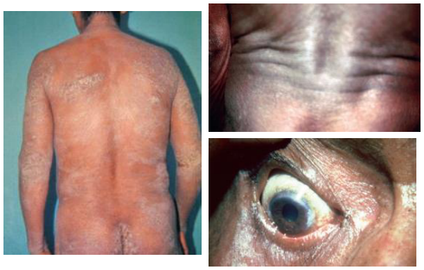 Adjuntos/U05_p26_fig01.png