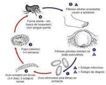 Adjuntos/U05_p27_fig07.png