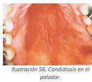 image18.jpeg140