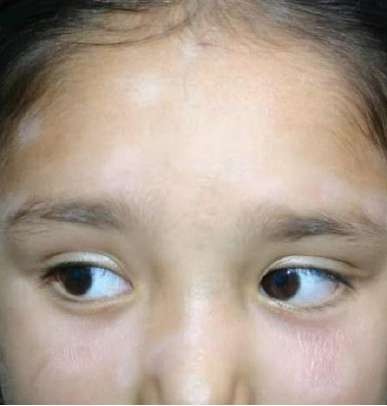 image253.jpeg247