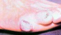 image450.jpeg182