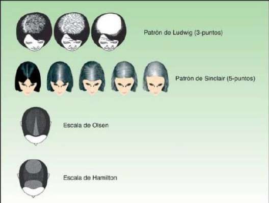 image491.jpeg337