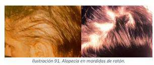 image54.jpeg408