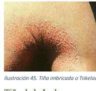 image8.jpeg193