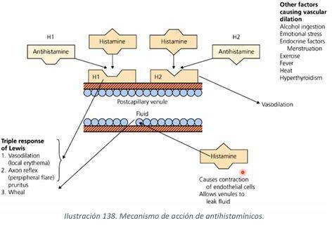 image98.jpeg391