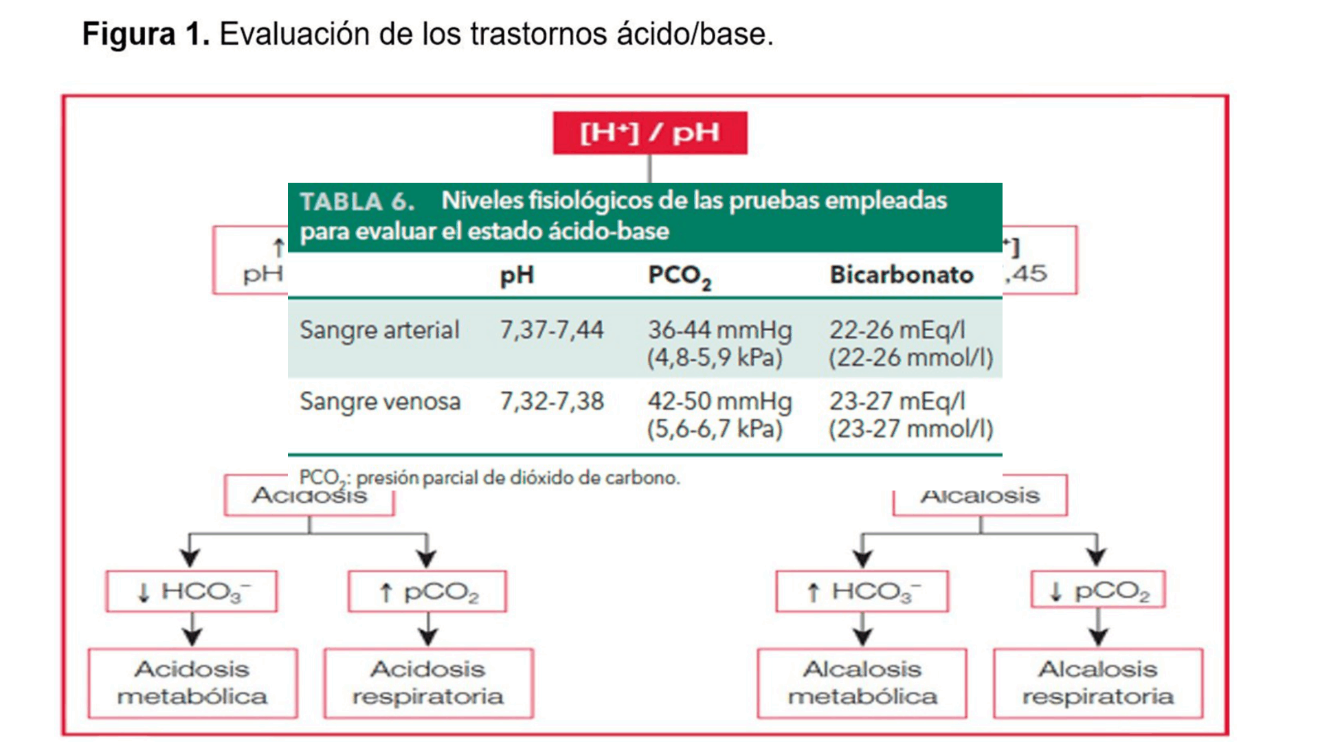 ACIDOSIS_METABOLICA_D05.png