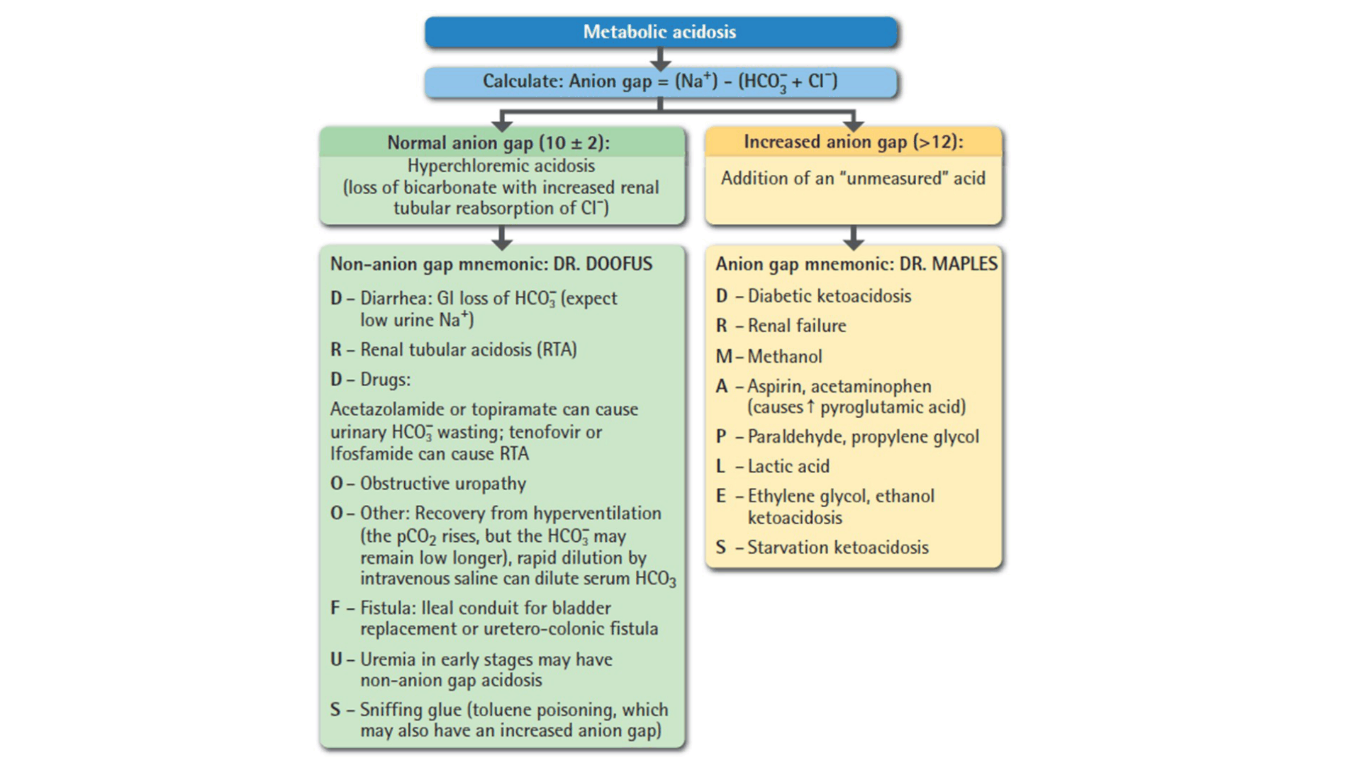 ACIDOSIS_METABOLICA_D10.png
