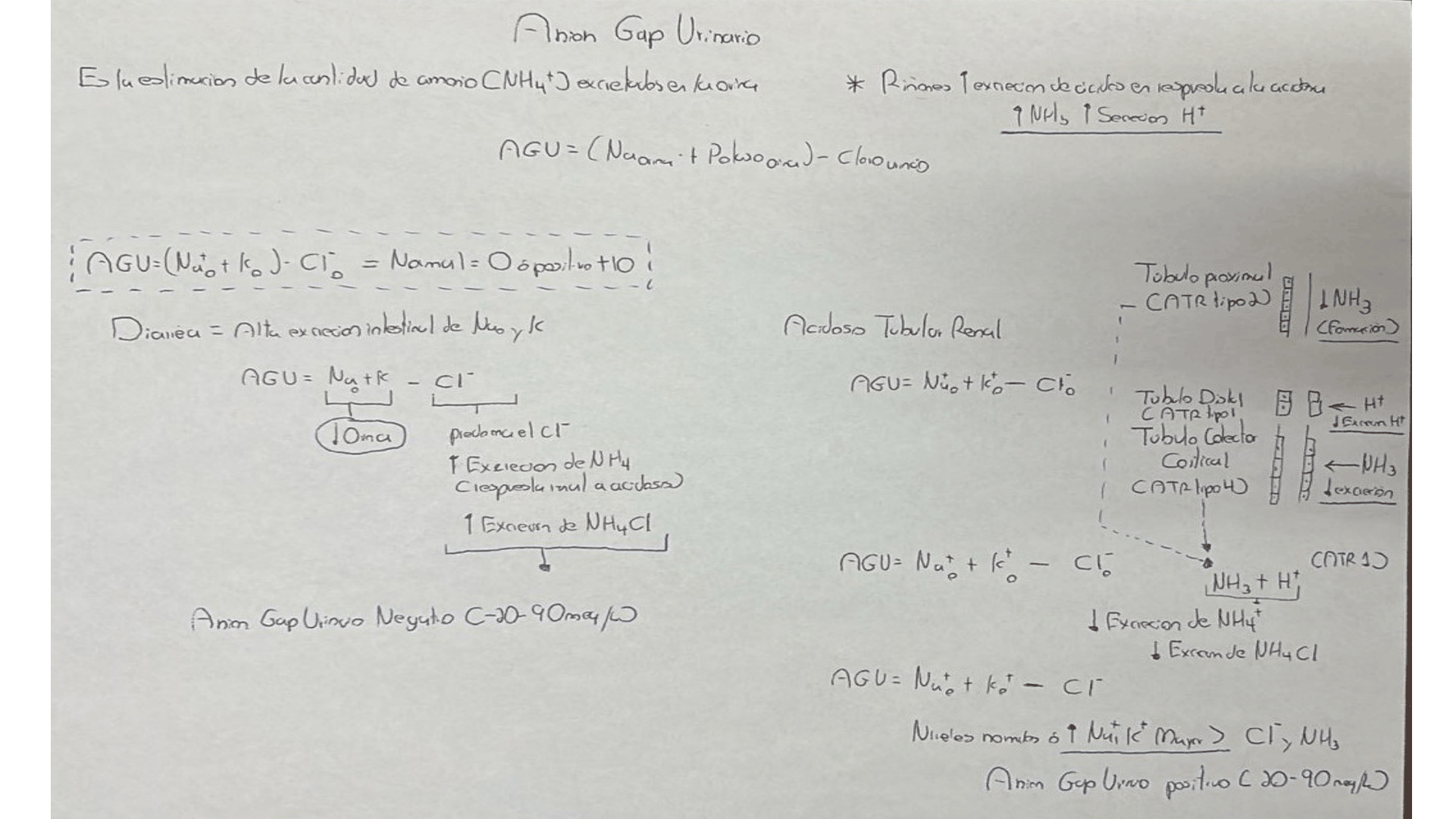 ACIDOSIS_METABOLICA_D28.png