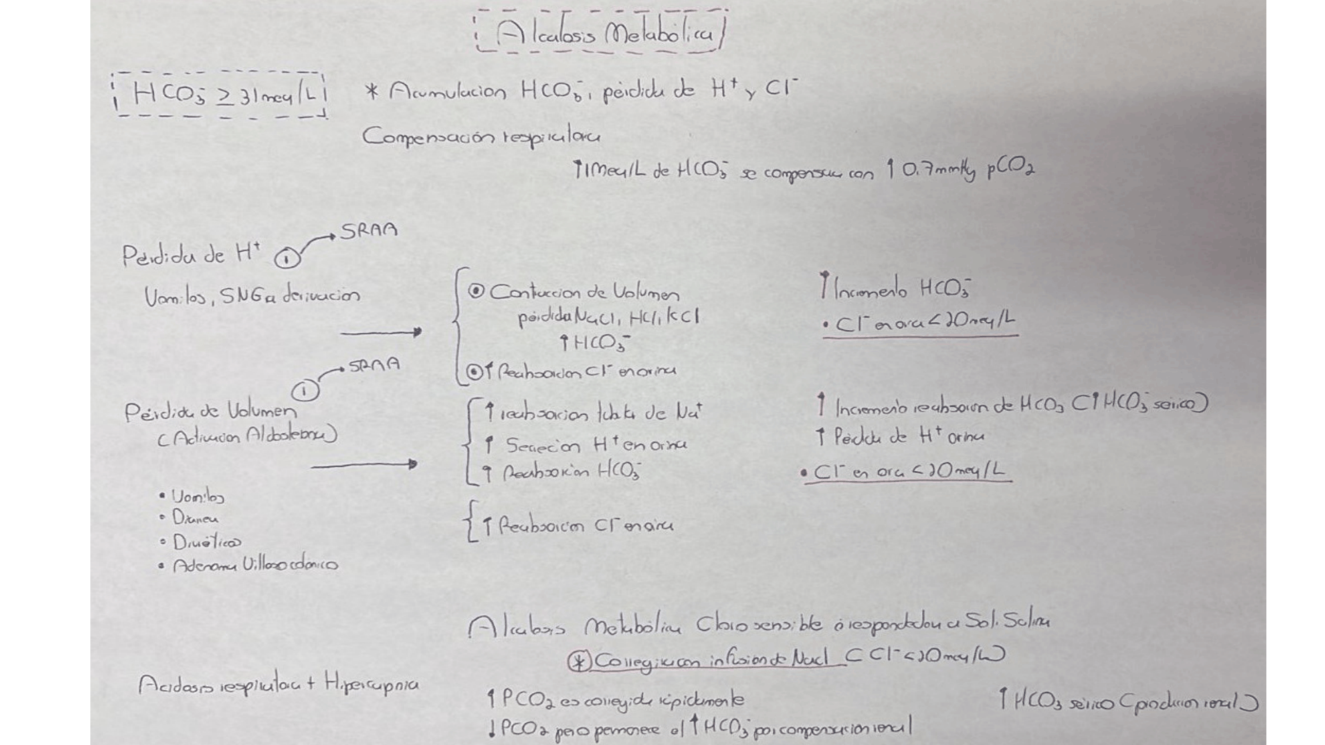 ALCALOSIS_METABOLICA_D11.png