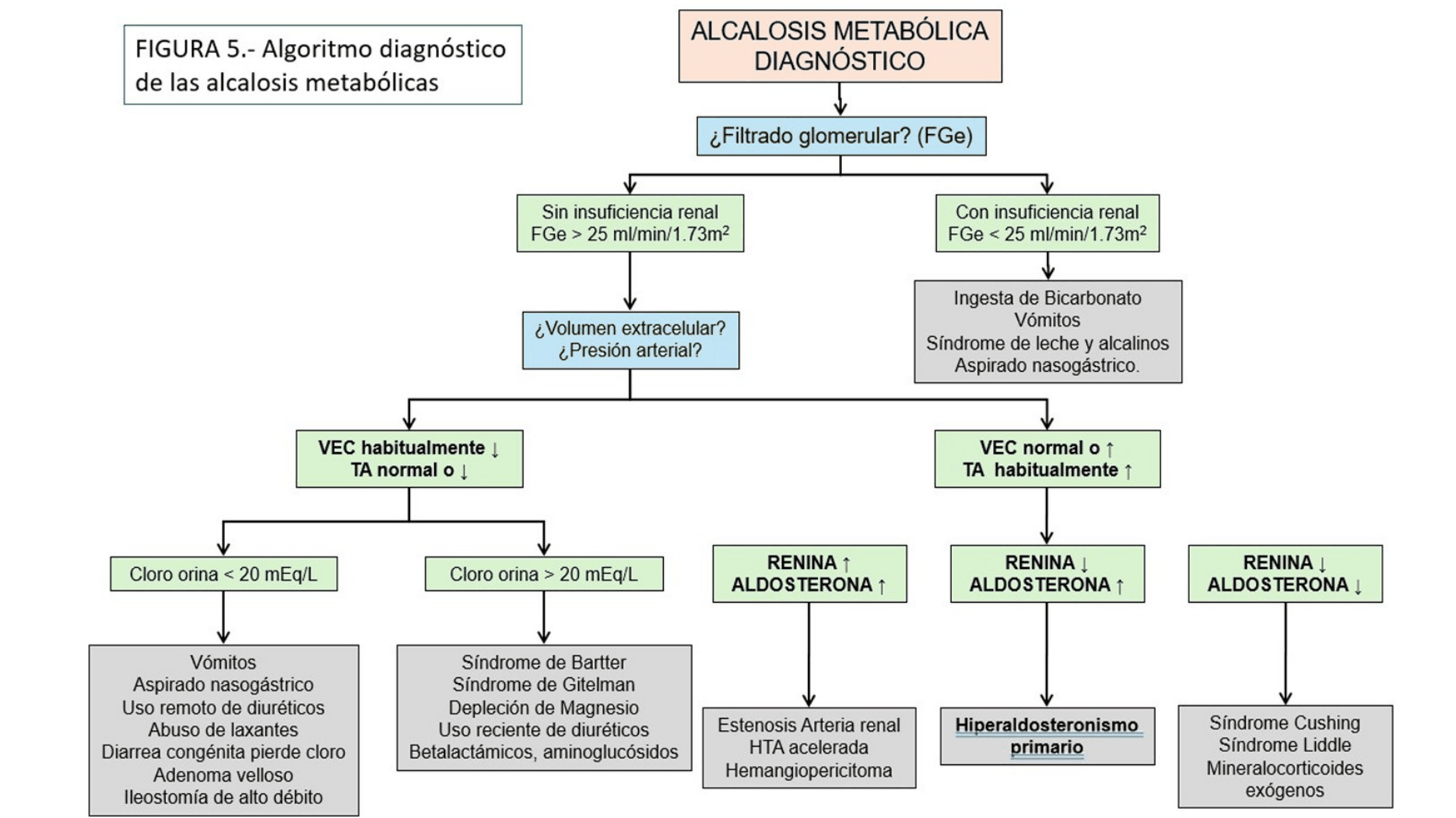 ALCALOSIS_METABOLICA_D14.png