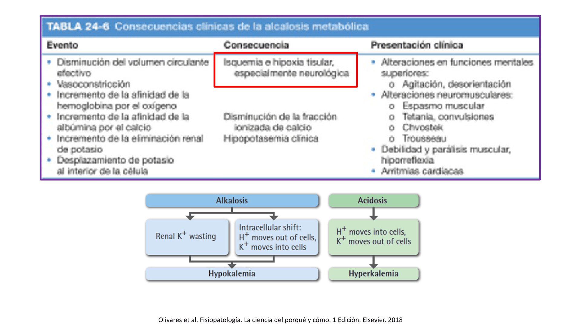 ALCALOSIS_METABOLICA_D16.png