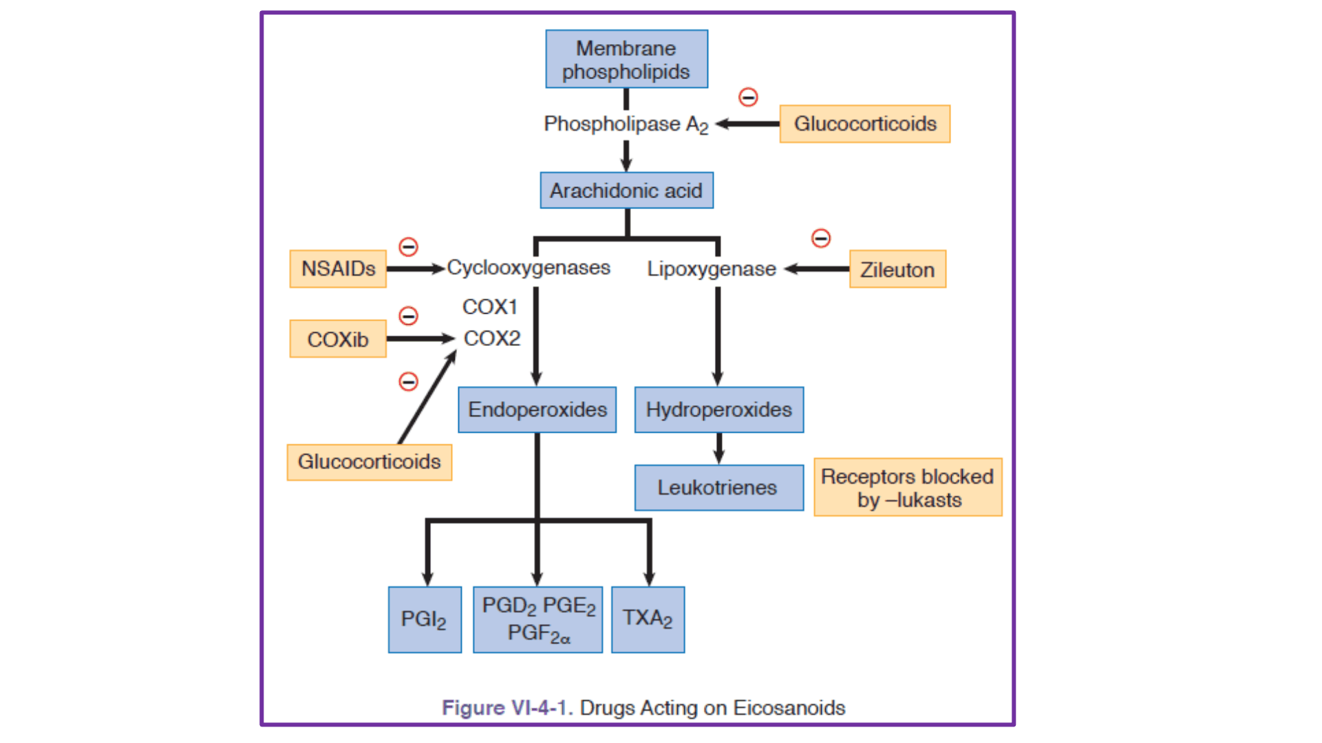 FARMACOS_GLOMERULONEFRITIS_D02.png