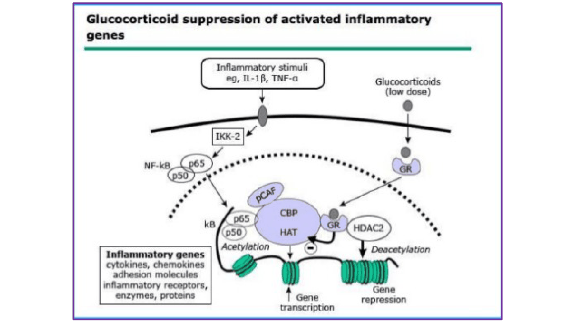 FARMACOS_GLOMERULONEFRITIS_D03.png