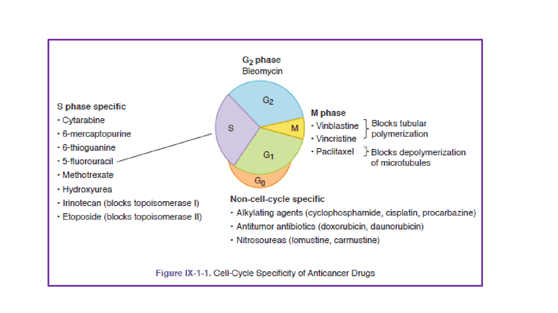 FARMACOS_GLOMERULONEFRITIS_D07.png