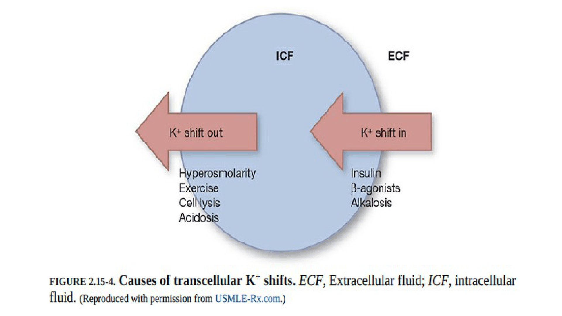 HIPERCALEMIA_D02.png