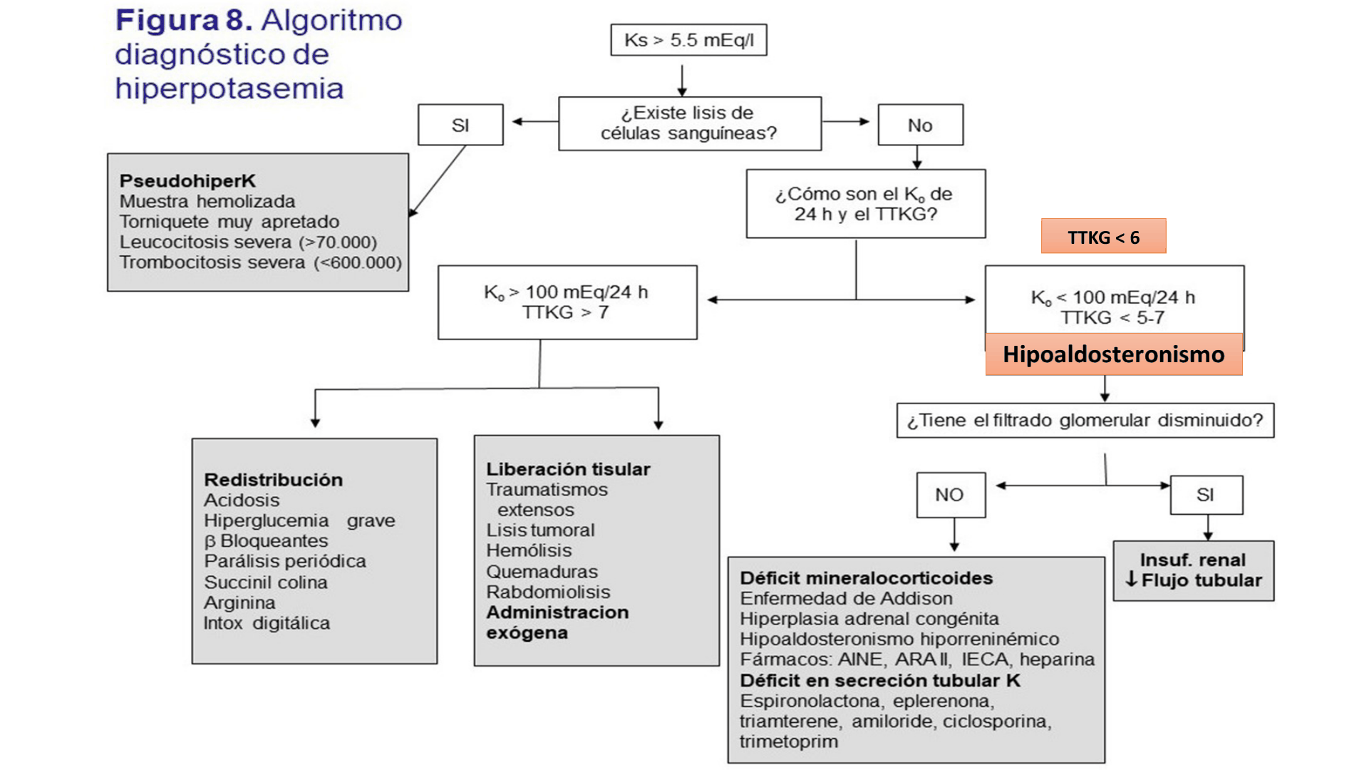 HIPERCALEMIA_D06.png
