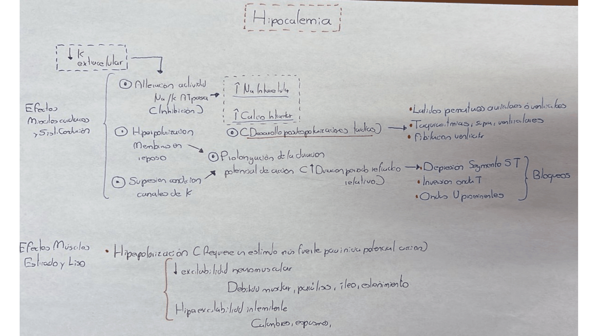 HIPOCALEMIA_D14.png