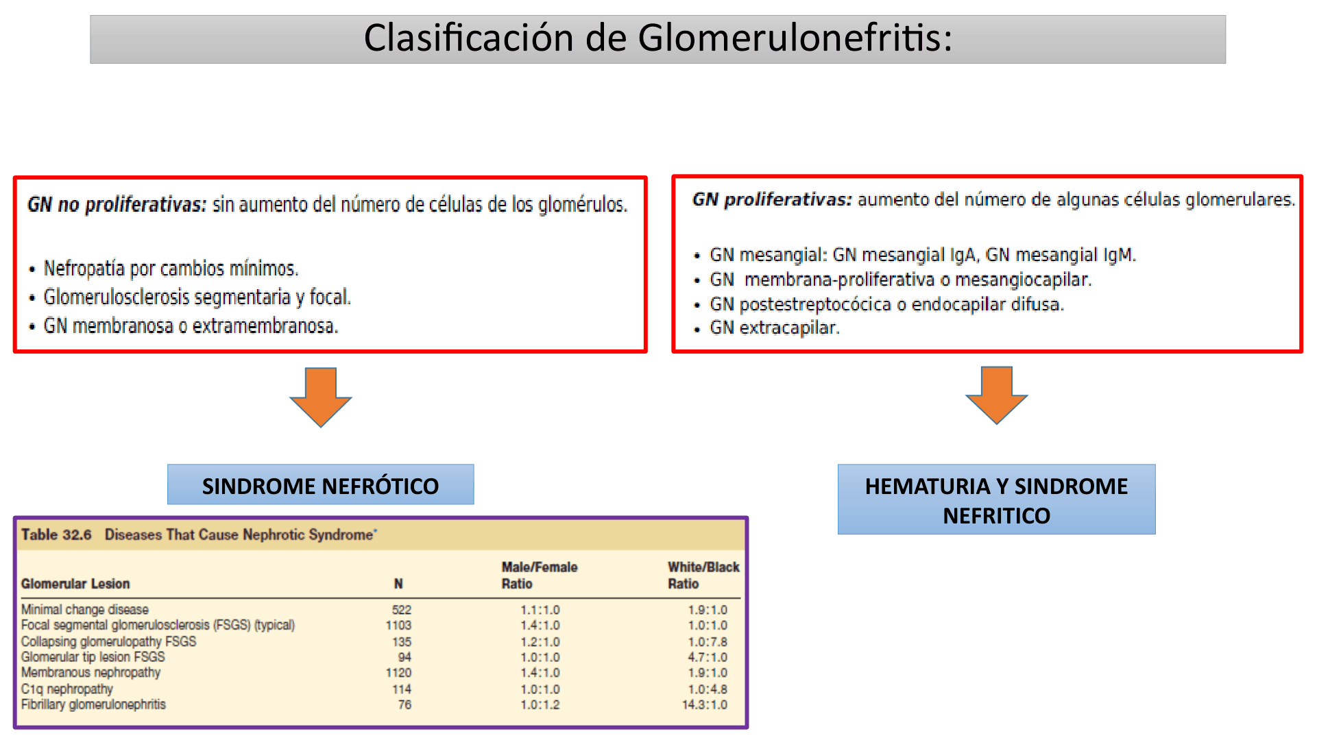 SINDROMENEFROTICOCOMPLETO_D02.png