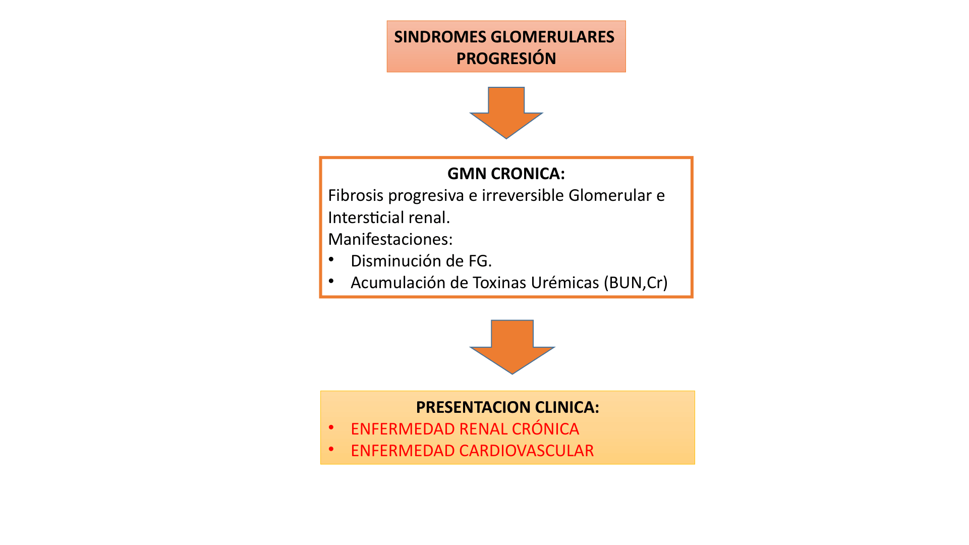 SINDROMENEFROTICOCOMPLETO_D05.png