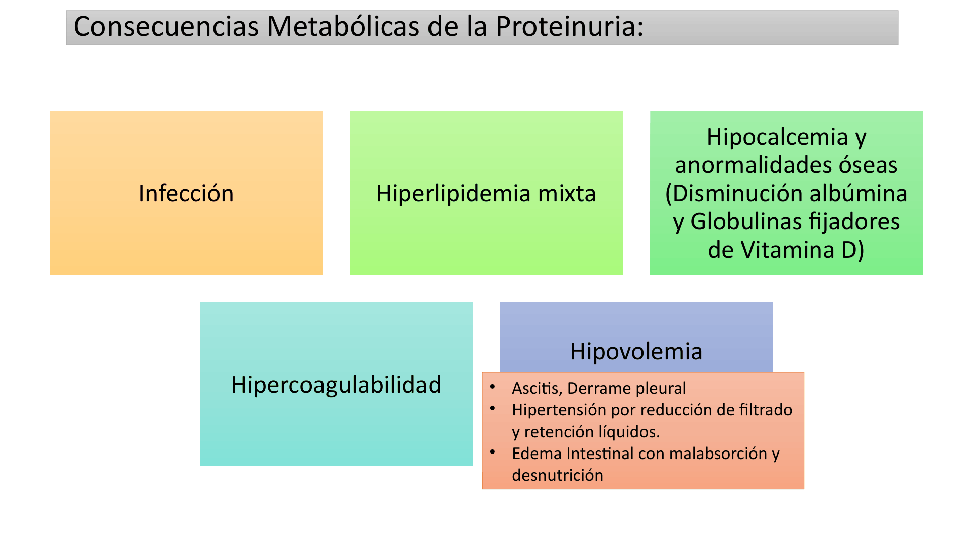 SINDROMENEFROTICOCOMPLETO_D09.png