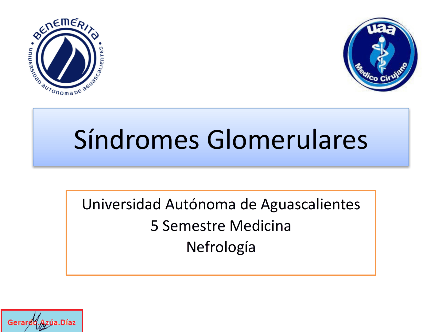SINDROMESGLOMERULARESUAA_D01.png
