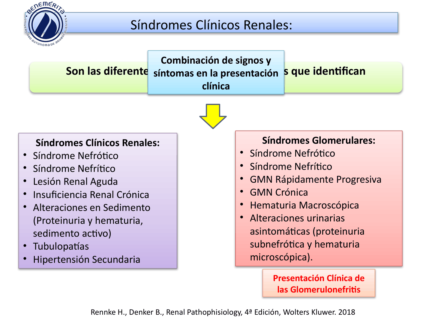 SINDROMESGLOMERULARESUAA_D04.png