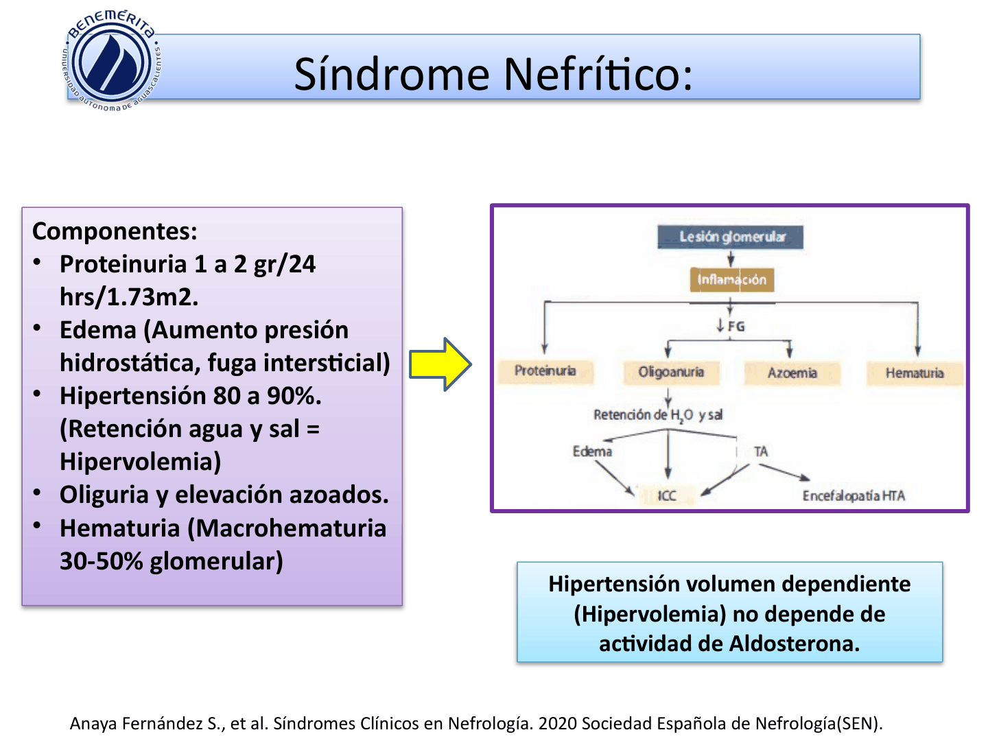 SINDROMESGLOMERULARESUAA_D12.png
