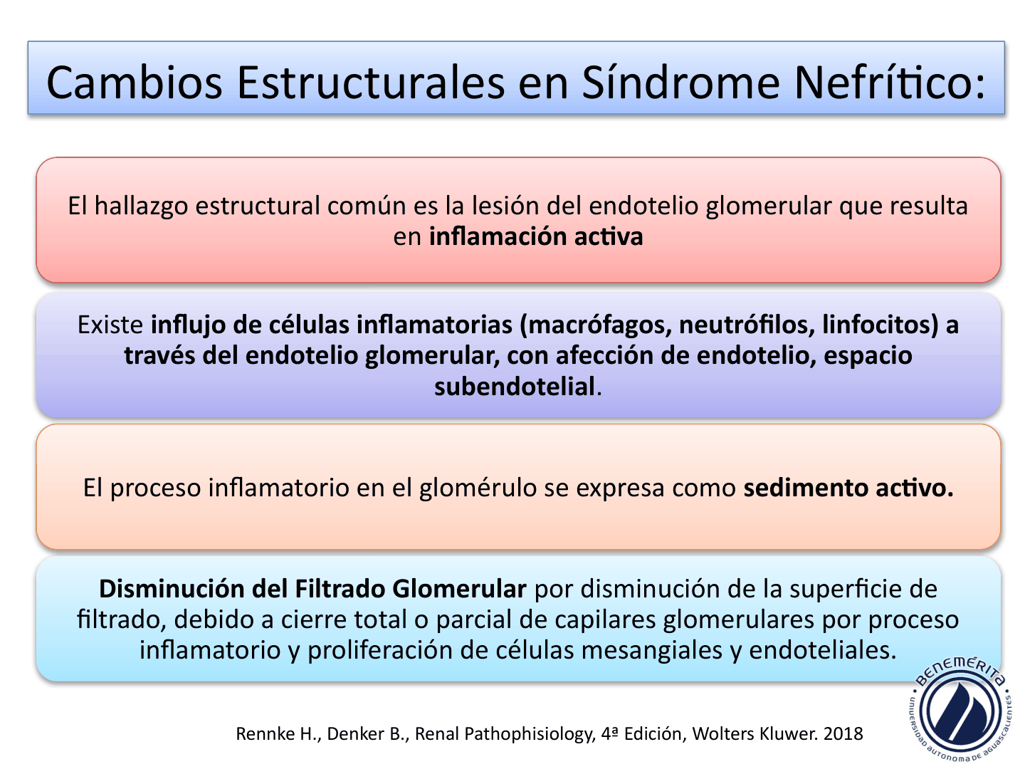 SINDROMESGLOMERULARESUAA_D14.png