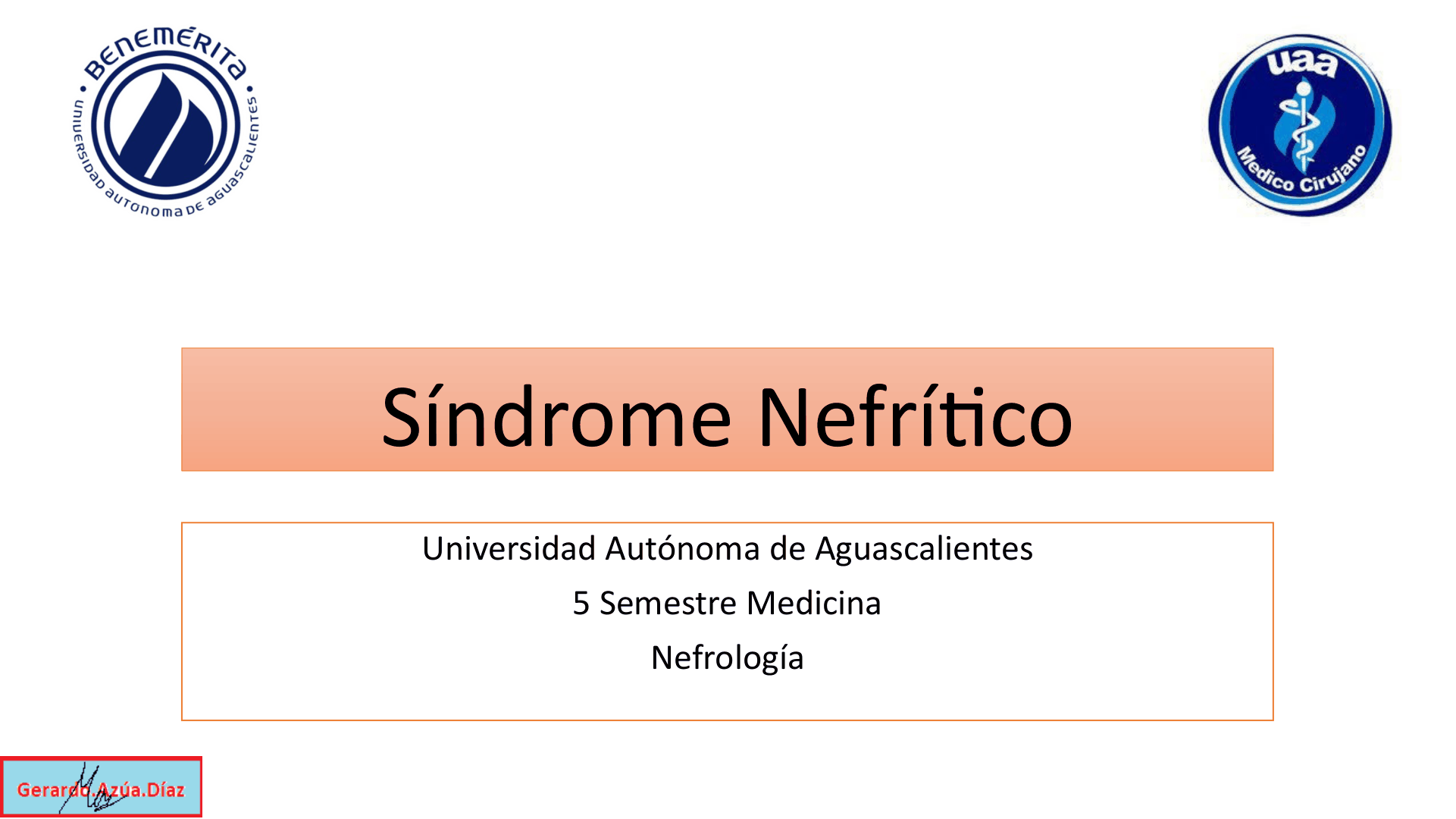 SINDROME_NEFRITICO_D01.png