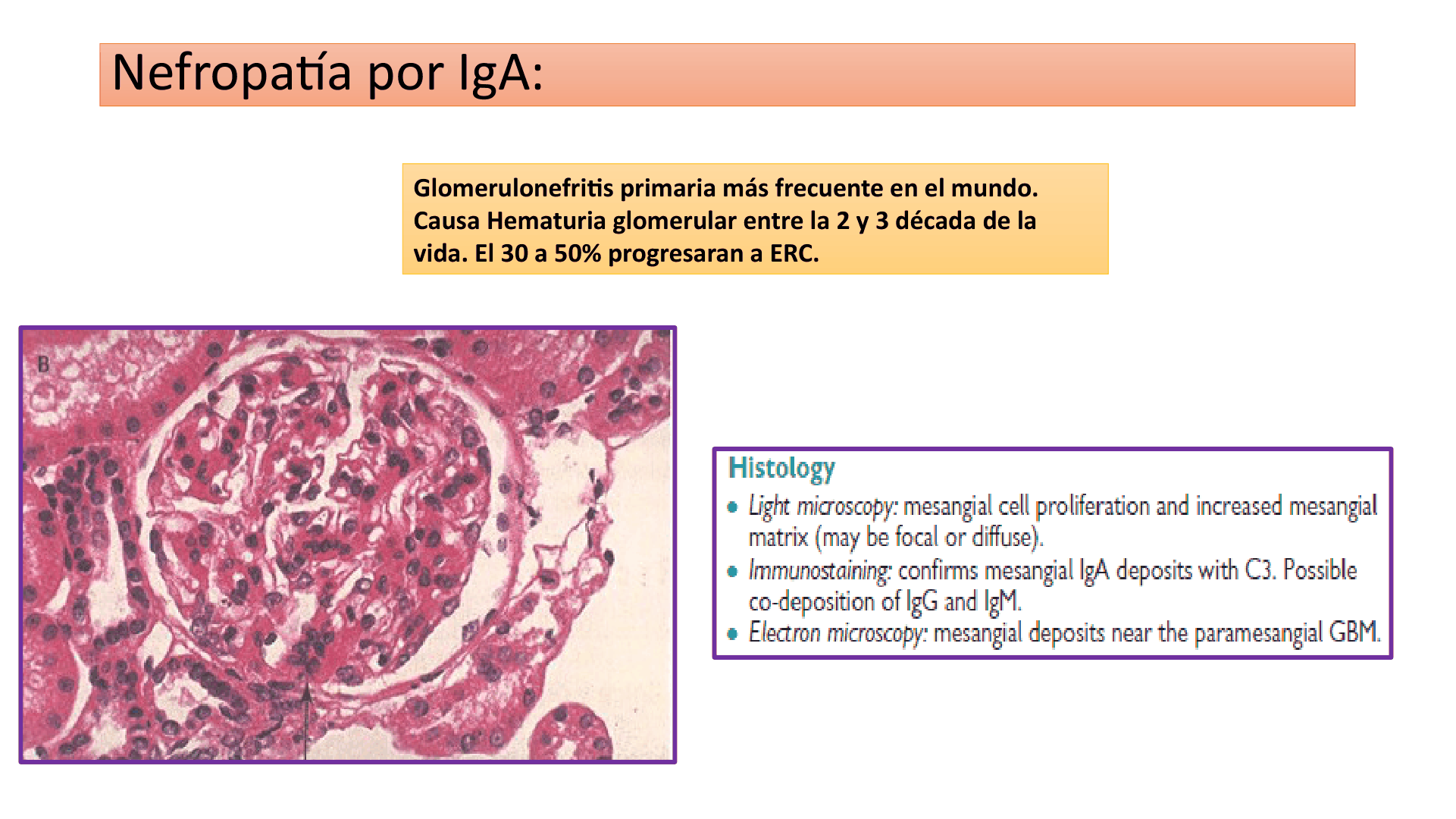 SINDROME_NEFRITICO_D08.png