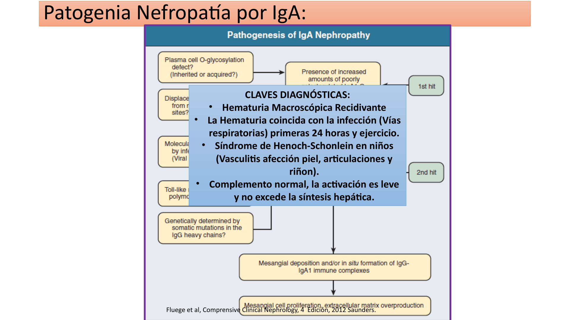 SINDROME_NEFRITICO_D10.png