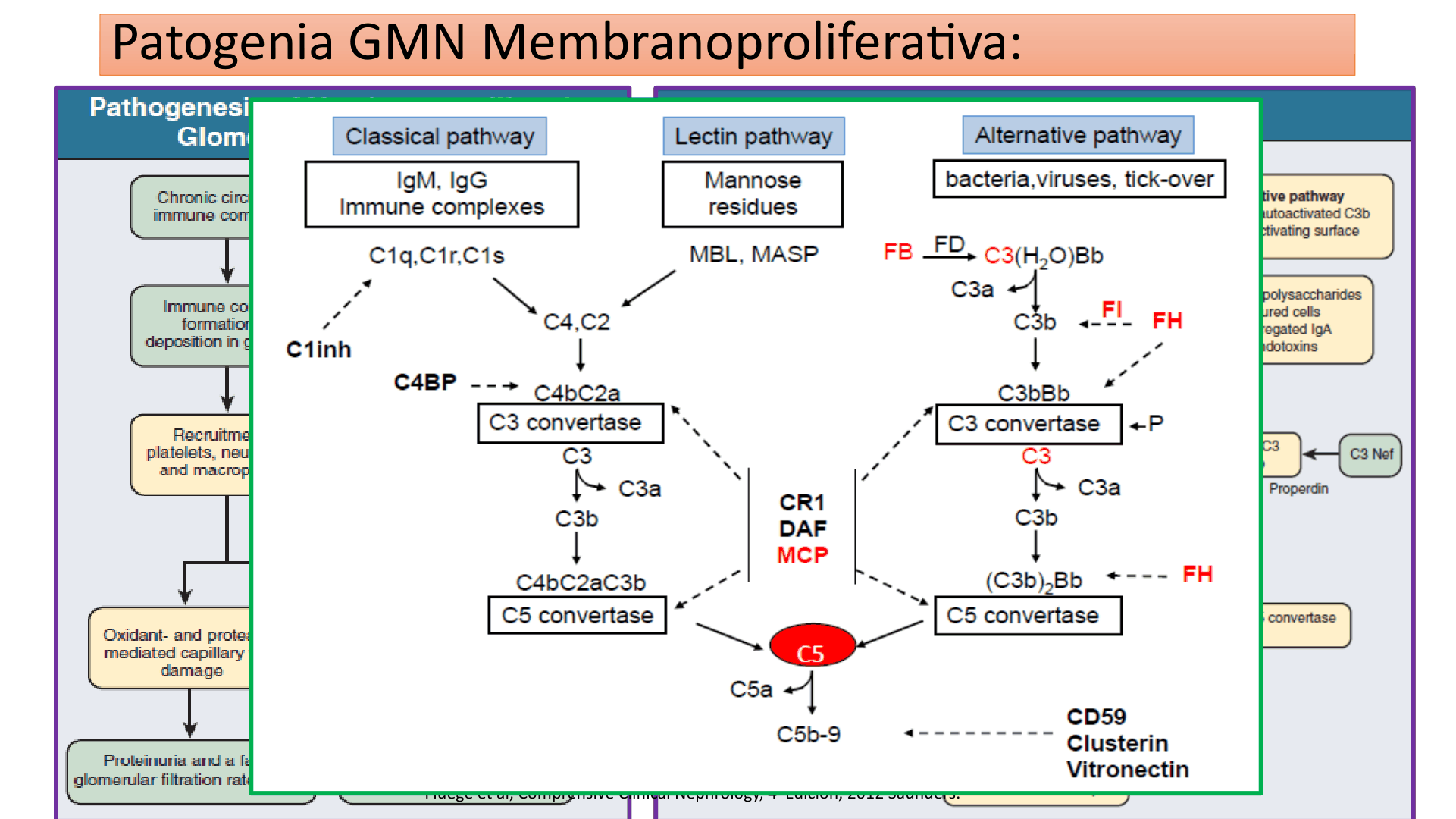 SINDROME_NEFRITICO_D19.png