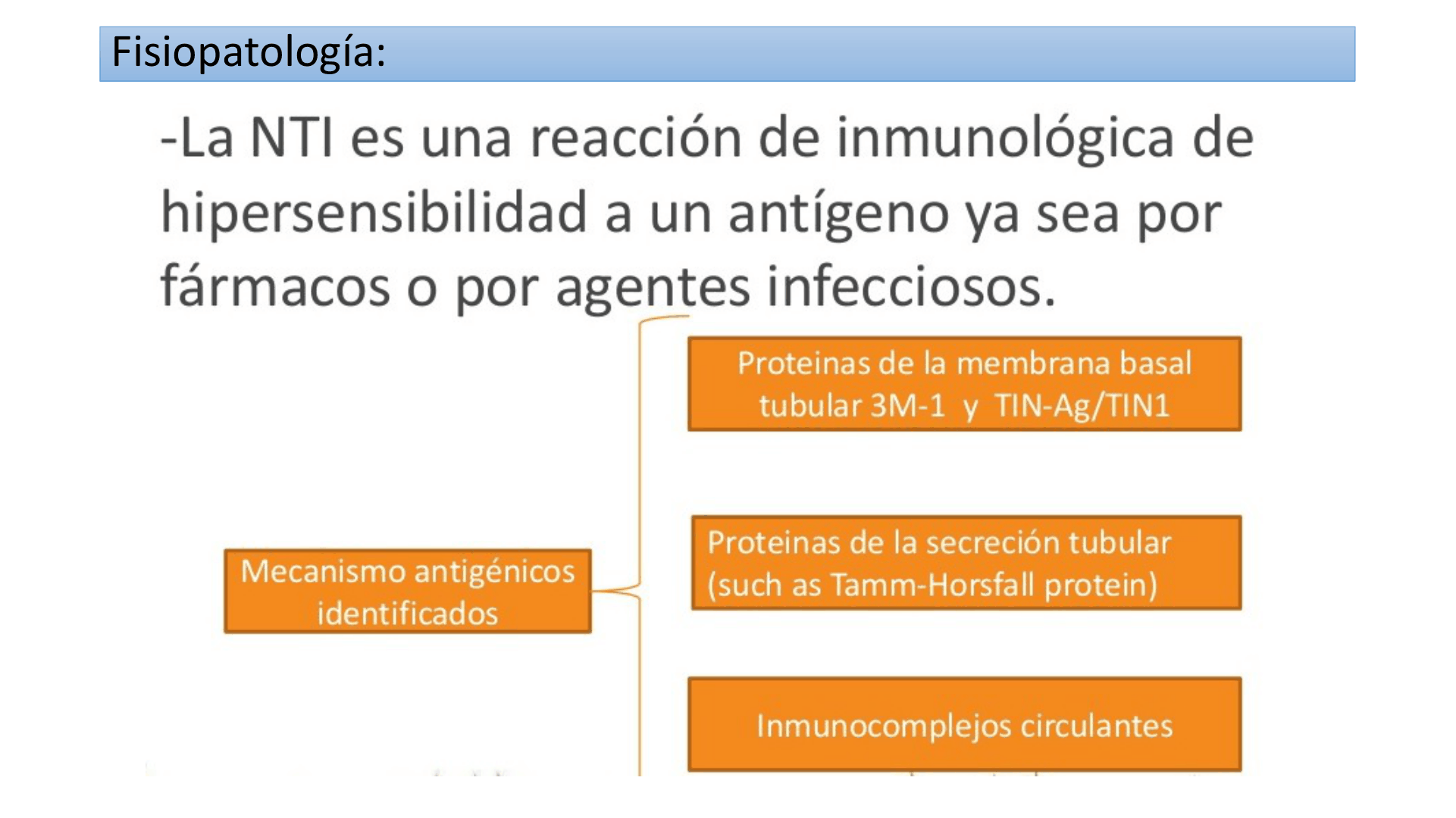 TUBULOINTERSTICIALES_D03.png
